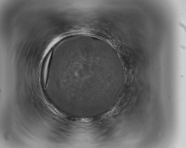 X0000097300056200802221345