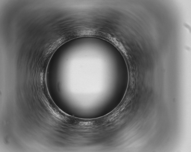 X0000097300057200802221345