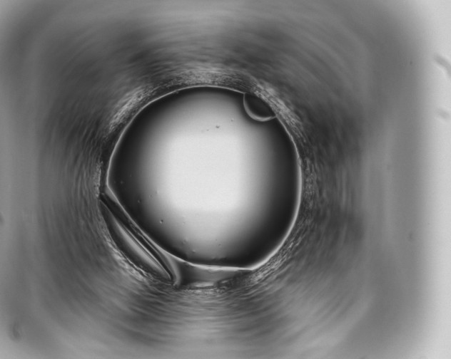 X0000097300058200802221345