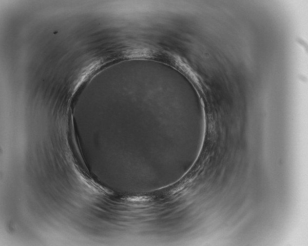 X0000097300059200802221345