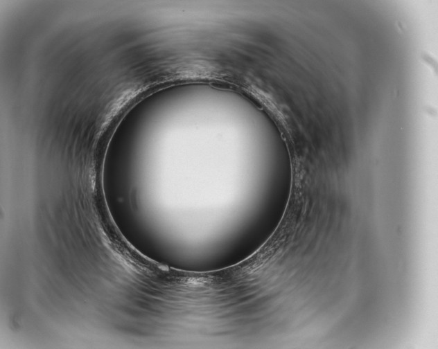 X0000097300060200802221345