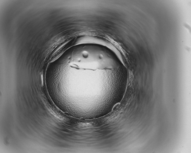 X0000097300061200802221345