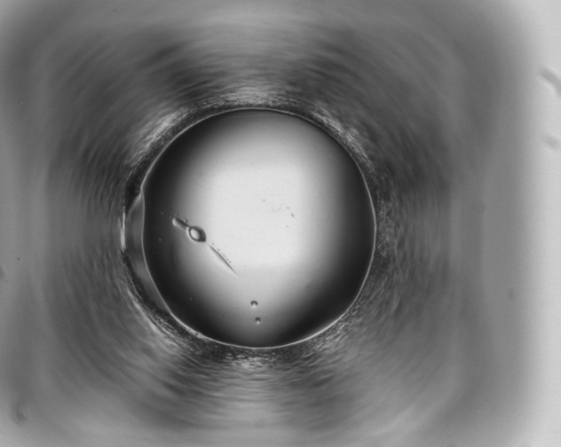 X0000097300062200802221345