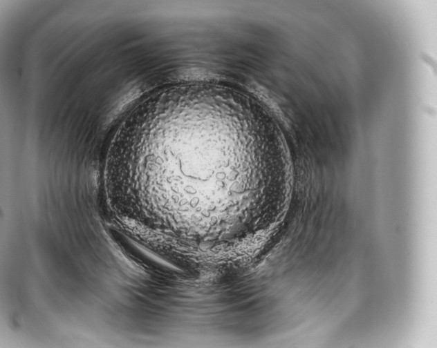 X0000097300063200802221345