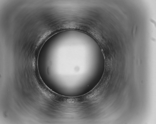 X0000097300064200802221345