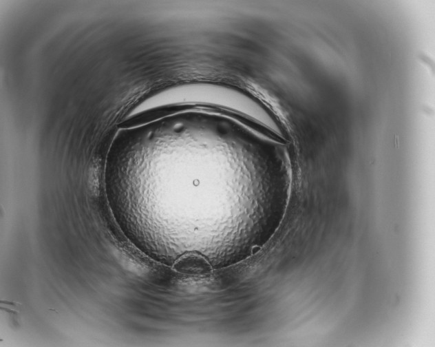 X0000097300065200802221345