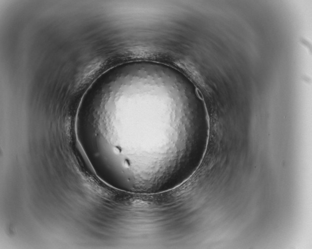 X0000097300066200802221345