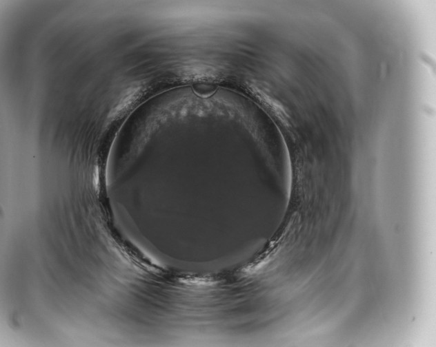 X0000097300067200802221345