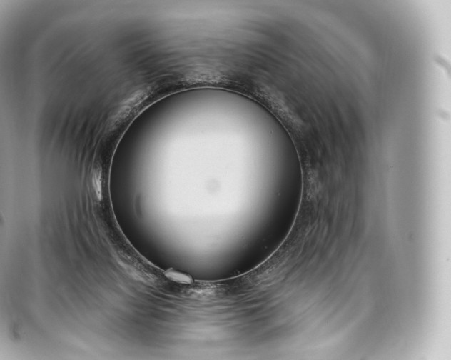 X0000097300068200802221345