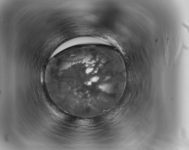 X0000097300069200802221345