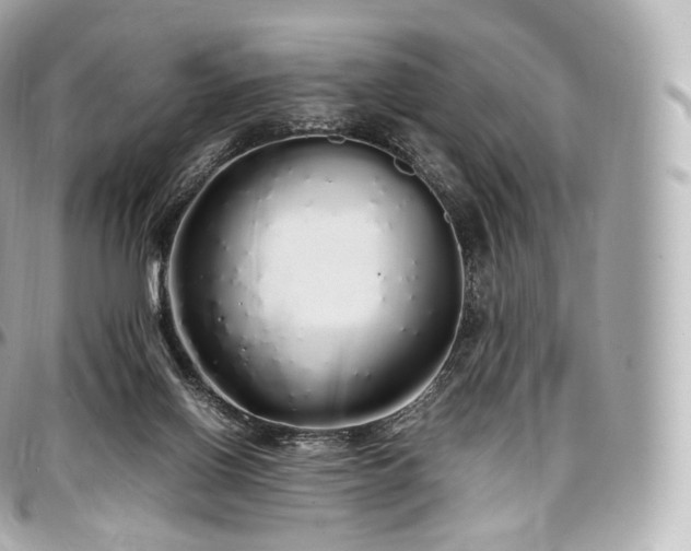 X0000097300070200802221345