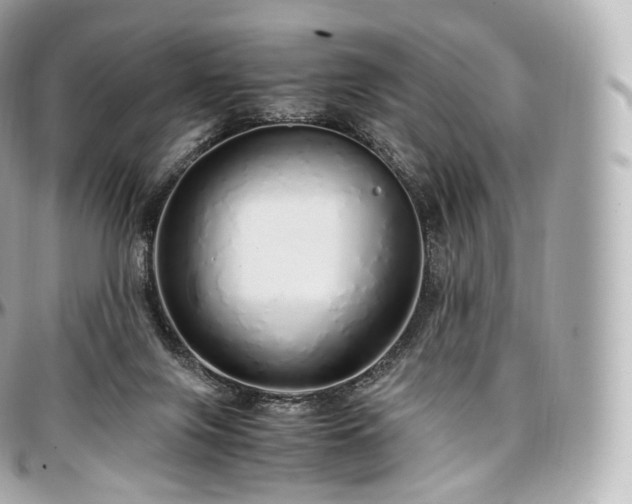 X0000097300071200802221345