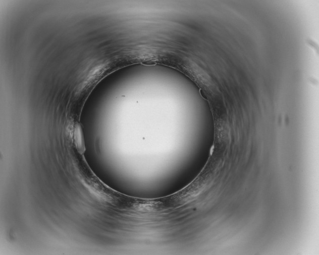 X0000097300072200802221345