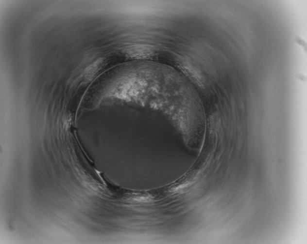 X0000097300073200802221345