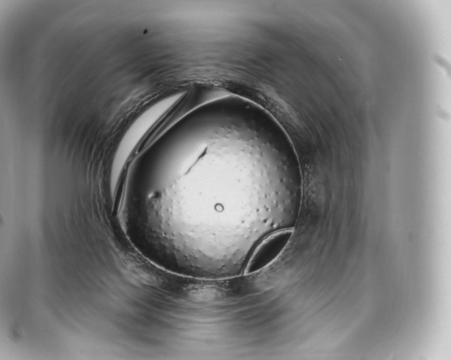 X0000097300074200802221346