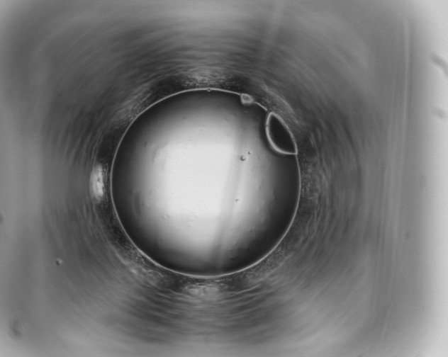 X0000097300075200802221346