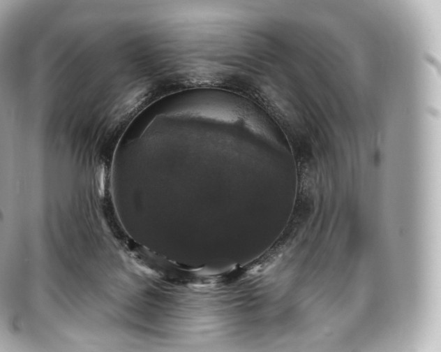 X0000097300076200802221346