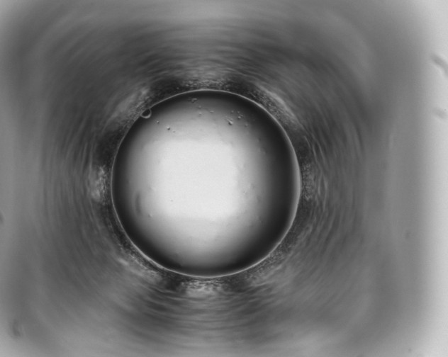 X0000097300077200802221346