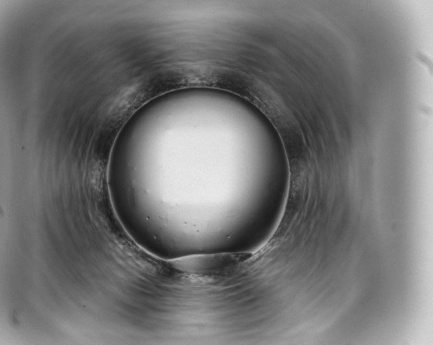 X0000097300078200802221346