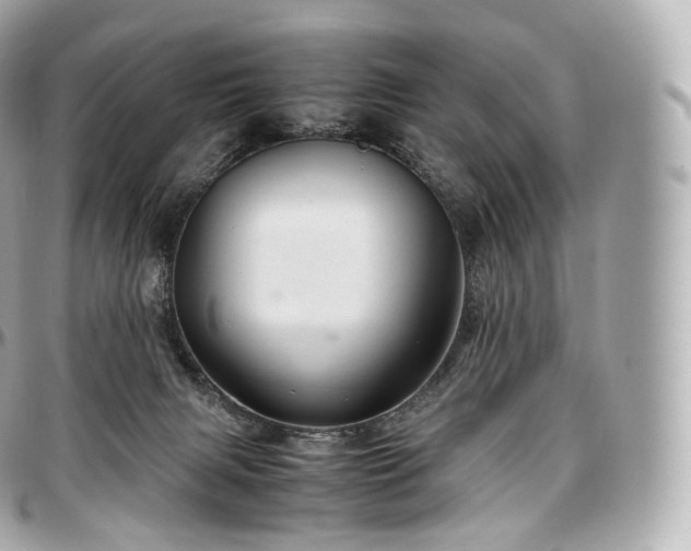 X0000097300079200802221346