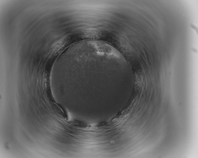 X0000097300080200802221346