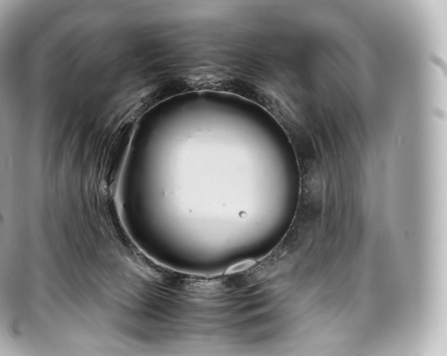 X0000097300081200802221346