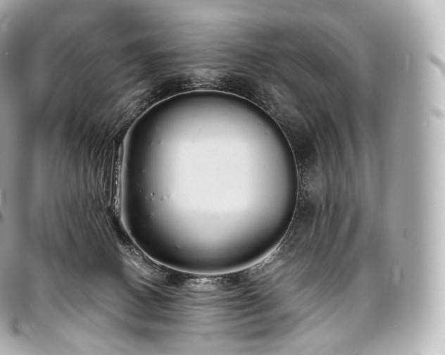 X0000097300082200802221346