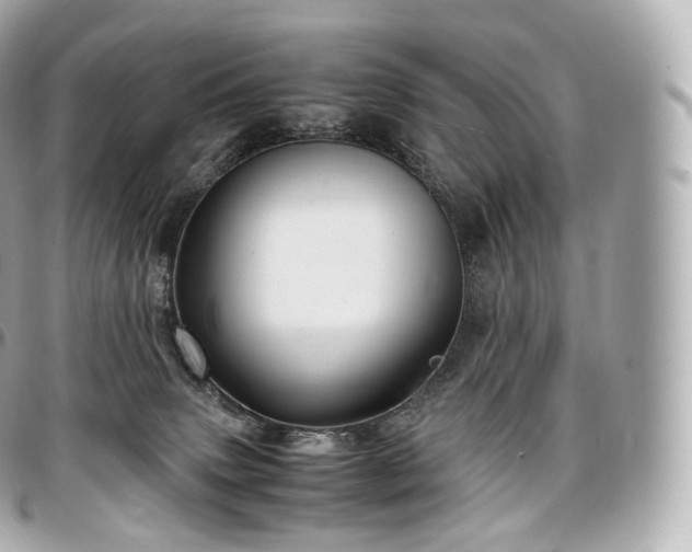 X0000097300083200802221346