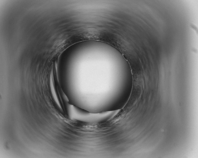 X0000097300084200802221346