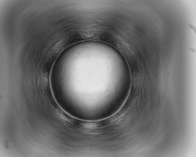 X0000097300085200802221346