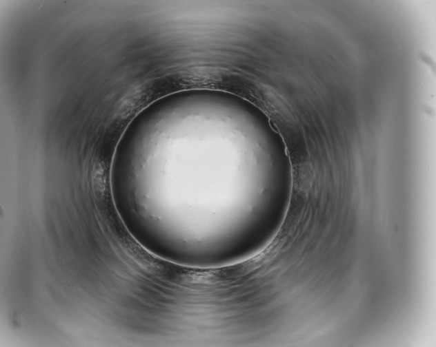 X0000097300086200802221346