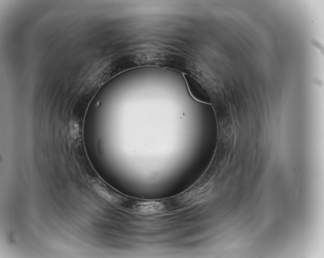 X0000097300087200802221346