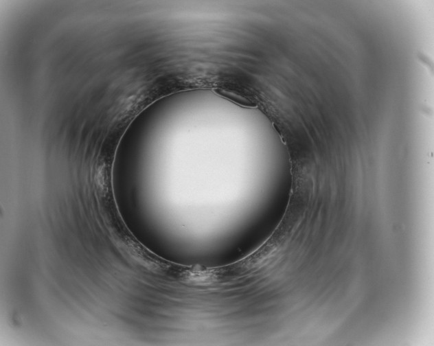 X0000097300088200802221346