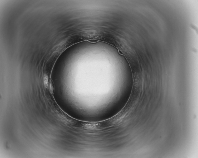 X0000097300089200802221346