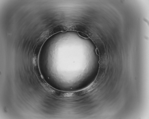 X0000097300090200802221346