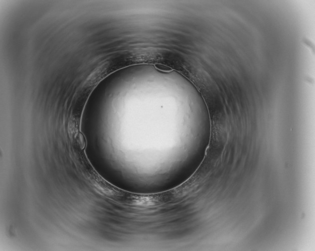 X0000097300091200802221346