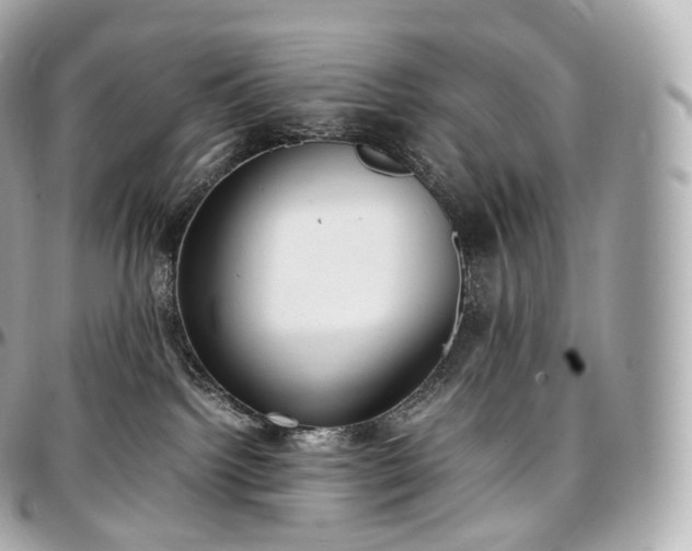 X0000097300092200802221346