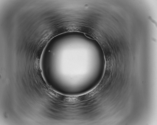 X0000097300093200802221346