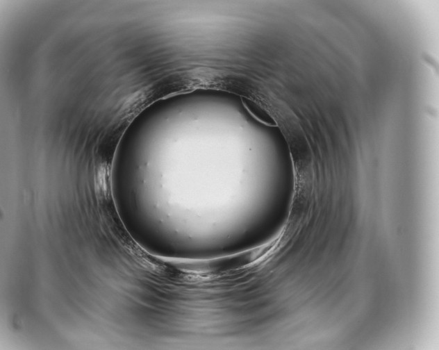 X0000097300094200802221346