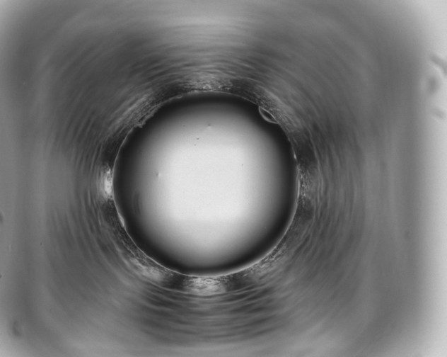 X0000097300095200802221346