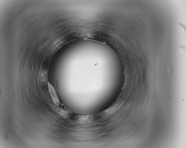 X0000097300096200802221346