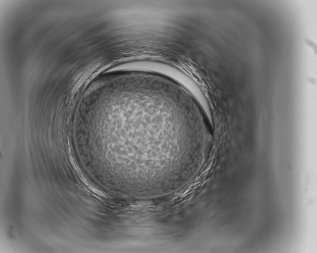 X0000097300097200802221345