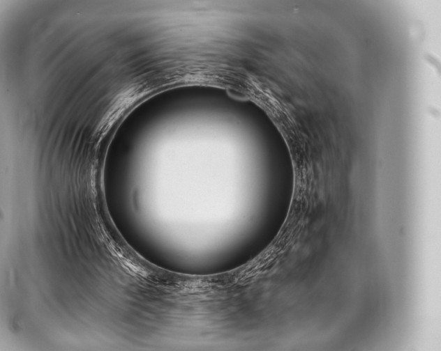 X0000097300098200802221345