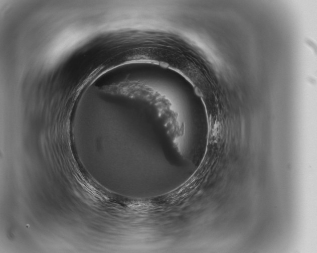 X0000097300099200802221345