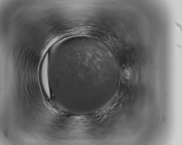 X0000097300100200802221345