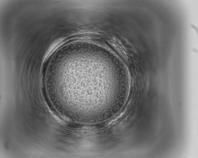 X0000097300101200802221345