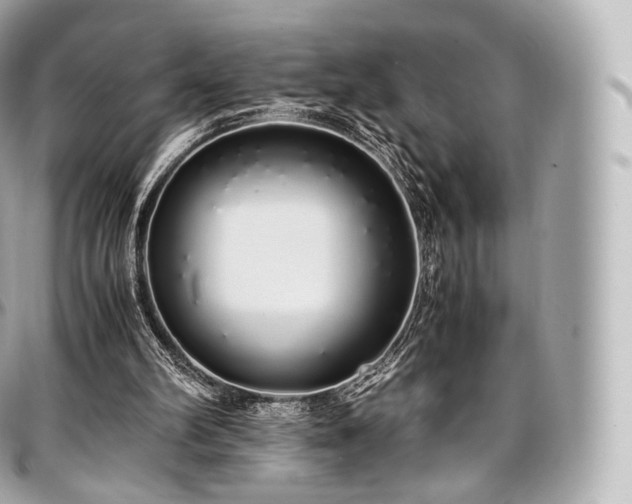 X0000097300102200802221345