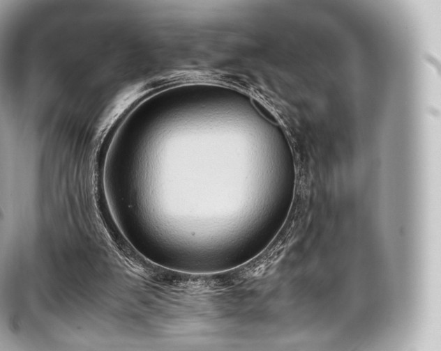 X0000097300103200802221345