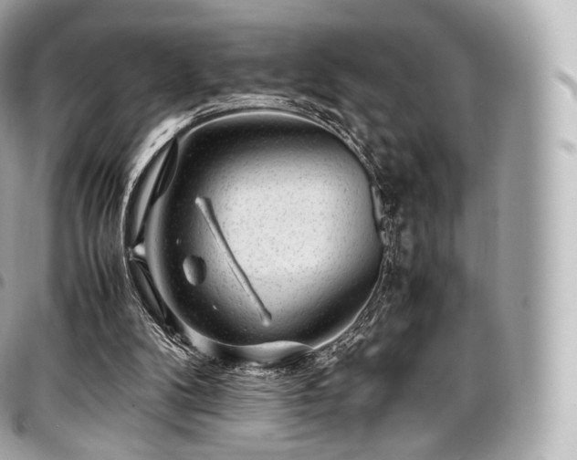 X0000097300104200802221345