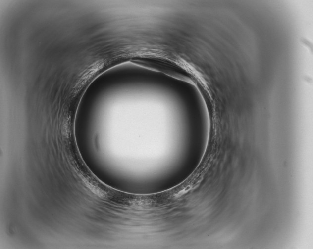 X0000097300105200802221345